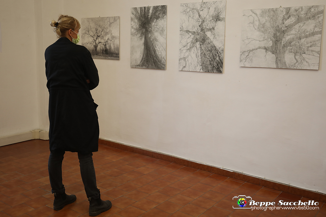 VBS_3980 - Paratissima 2021 - 17.ma Edizione.jpg